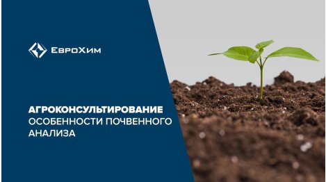 Агроконсультирования. Особенности почвенного анализа