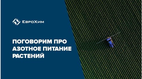 Азотное питание растений
