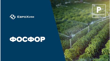 Фосфор. Для чего он нужен и как его вносить