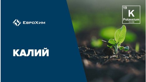 Калий. Особенности калийного питания и причины дефицита калия в почве