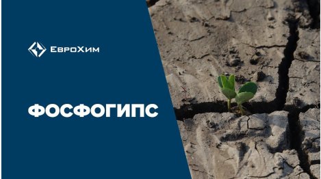 Методы внесения фосфогипса в почву