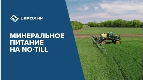 МИНЕРАЛЬНОЕ ПИТАНИЕ ЗЕРНОВЫХ НА ТЕХНОЛОГИИ No-Till