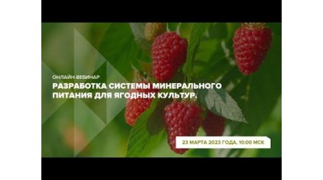 Онлайн-вебинар "Разработка системы минерального питания для ягодных культур"