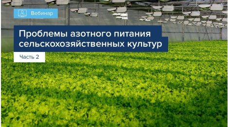 ПРОБЛЕМЫ АЗОТНОГО ПИТАНИЯ СЕЛЬСКОХОЗЯЙСТВЕННЫХ КУЛЬТУР. ЧАСТЬ 2.