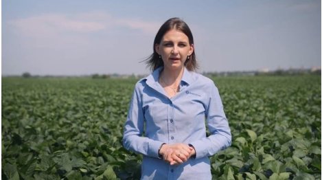 ПРОКАЧАЙ СОЮ! ИТОГИ ПОЛЕВОГО ОПЫТА