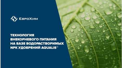 Технология внекорневого питания на базе водорастворимых NPK удобрений Aqualis
