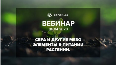 ВЕБИНАР 2020: ЗНАЧЕНИЕ СЕРЫ И ДРУГИХ МЕЗОЭЛЕМЕНТОВ В ПИТАНИИ РАСТЕНИЙ
