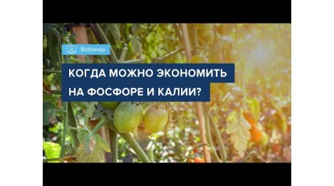 Вебинар 2022_КОГДА МОЖНО ЭКОНОМИТЬ НА ФОСФОРЕ И КАЛИИ