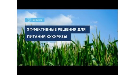 ВЕБИНАР 2022_ОСОБЕННОСТИ МИНЕРАЛЬНОГО ПИТАНИЯ КУКУРУЗЫ