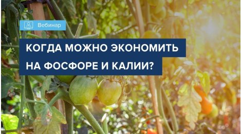 Вебинар "Когда можно экономить на фосфоре и калии?"
