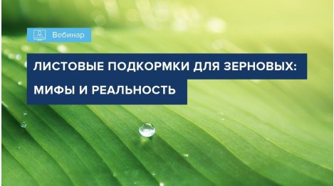 Вебинар "Листовые подкормки для зерновых культур: мифы и реальность"