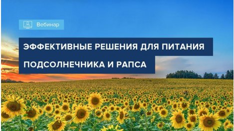 ВЕБИНАР "МИНЕРАЛЬНОЕ ПИТАНИЕ ПОДСОЛНЕЧНИКА И РАПСА"