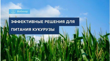 ВЕБИНАР "ОСОБЕННОСТИ МИНЕРАЛЬНОГО ПИТАНИЯ КУКУРУЗЫ"