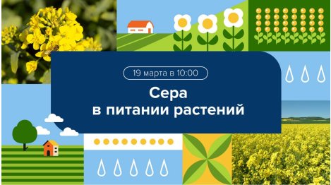 Вебинар "Сера в питании растений: неочевидные решения"