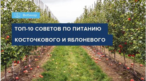ВЕБИНАР "ТОП СОВЕТОВ ПО ПИТАНИЮ КОСТОЧКОВОГО И ЯБЛОНЕВОГО САДА"