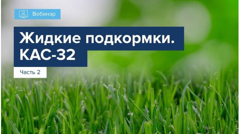 ВЕБИНАР "ЖИДКИЕ ПОДКОРМКИ". ЧАСТЬ 2