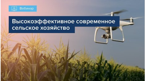ВЫСОКОЭФФЕКТИВНОЕ СОВРЕМЕННОЕ СЕЛЬСКОЕ ХОЗЯЙСТВО